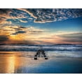 thumbnail image 2 of Mikaels, Natalie 32x26 White Modern Wood Framed Museum Art Print Titled - Into the Sea, 2 of 4