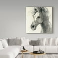thumbnail image 3 of Trademark Fine Art 'In the Wind II Ink' Canvas Art by Albena Hristova, 3 of 3