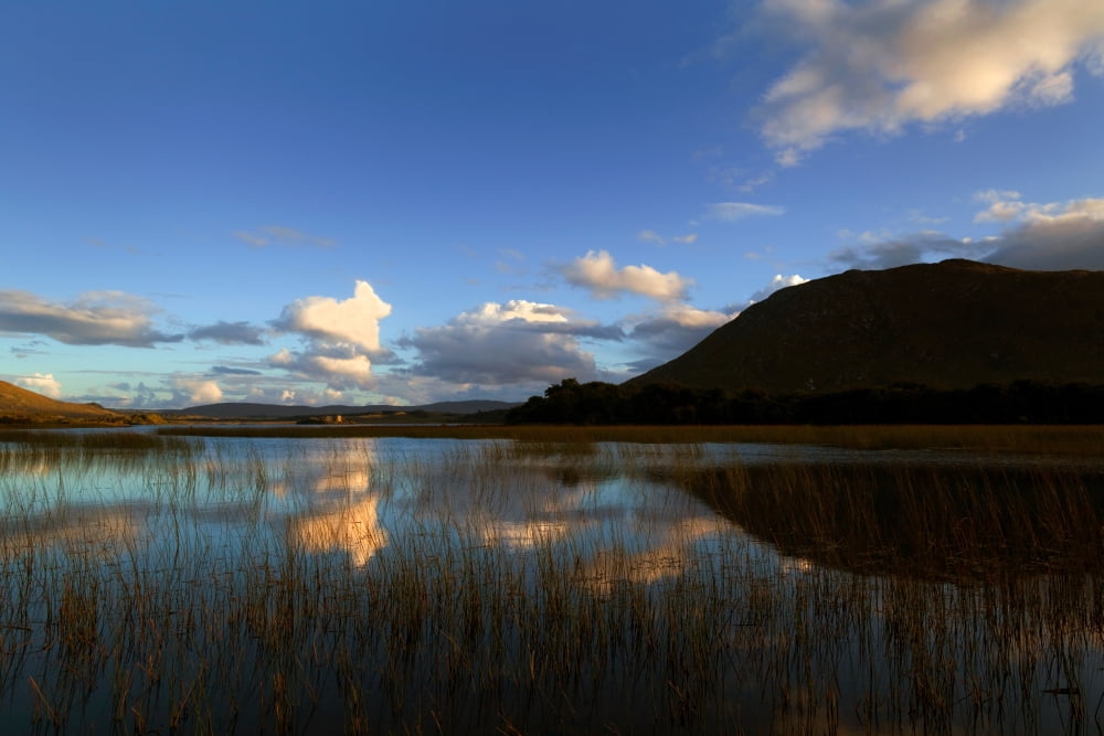 12 th Century Norman Hens Castle (Caislean-na-Circe) home of pirate Queen of Connemara Grace O`Malley Located on Lough Corrib between Maam and Doon Cunty Galway Ireland Canvas Art - Panoramic Images (