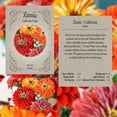 thumbnail image 2 of Set of 8 Cut Flower Garden Seed Mix – Grow Stunning Blooms for Bouquets & Floral Arrangements – Non-GMO, Heirloom, High Germination Seeds – Asters, Zinnias, Cosmos, Snapdragons & More, 2 of 2