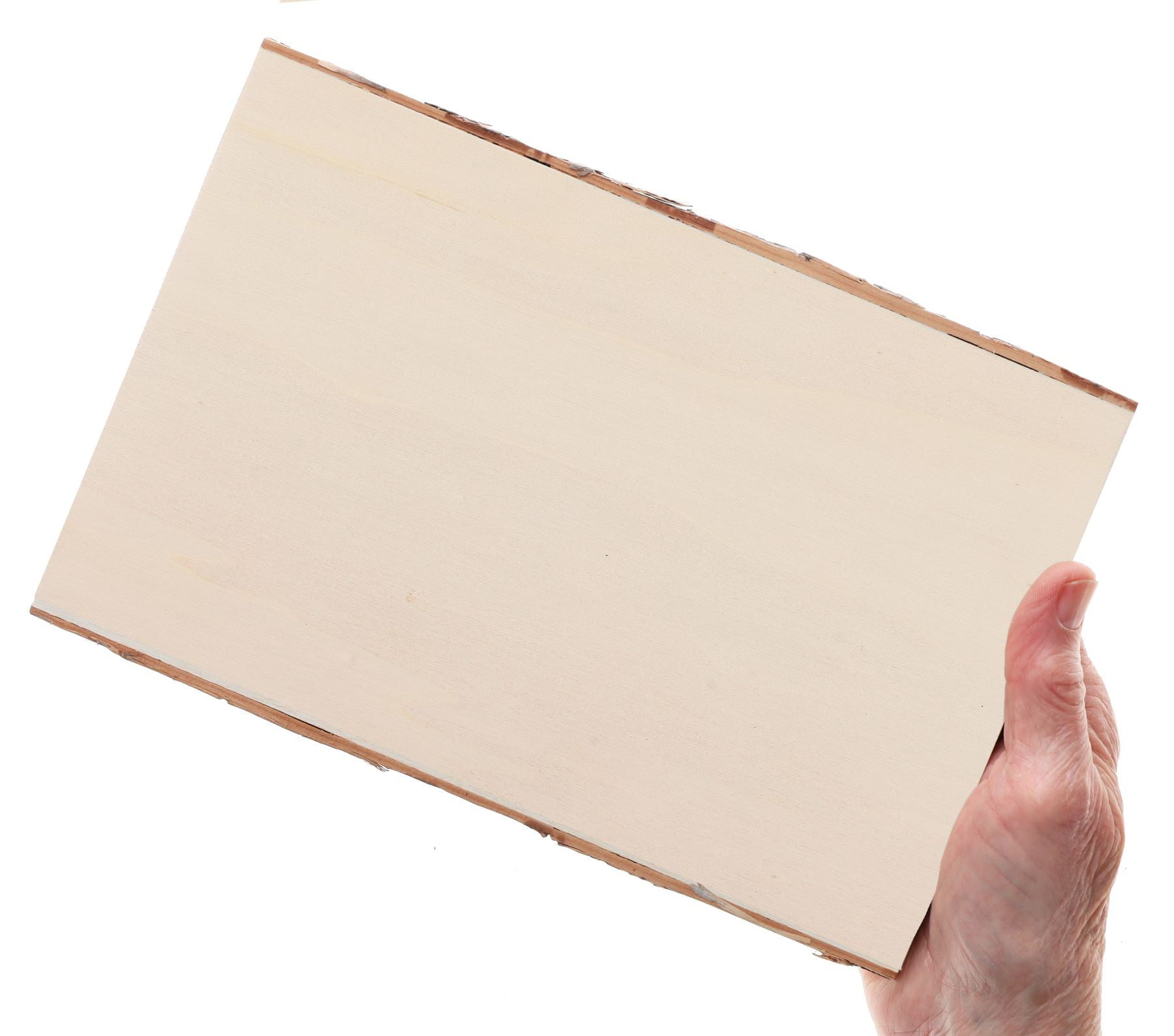 Hampton Art Basswood Rectangle W/Bark Sm (LY)