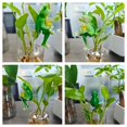 thumbnail image 3 of Figura RJVZUKL Tipsy Frog Hugger, 7,5 cm, impermeable, 3 of 6