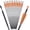 16 inch orange, variant on Carbon Crossbow Bolts 16 18 20 Inch Hunting Archery Arrows with 4" Vanes Replaced Arrowhead Tip (Pack of 12)