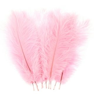 Larryhot Pink Craft Feathers Bulk - 240pcs 6 Style Natural Decorative  Feathers for Wedding Home Party, Dream Catcher Supplies and DIY Crafts  (Pink)