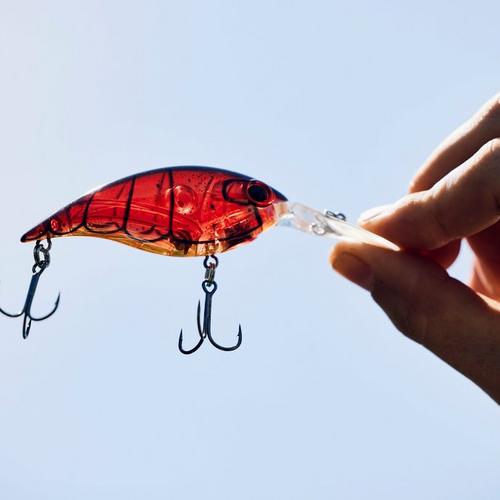 Berkley Money Badger, 4, Firetiger