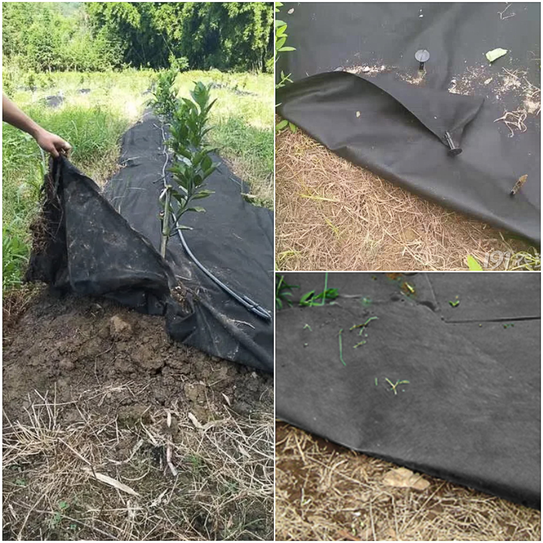 Waltyotur Black PE Woven Landscape Fabric Weed Barrier 3 FT X 300 FT
