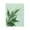 Verdant Lily of Valley, variant on Stupell Industries French Country Fall Botanicals Fresh Ferns Canvas Art, 16 x 20, by Elizabeth Medley