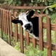 thumbnail image 3 of Iron Cow Yard Art Cute Peeking Cattle Yard Decor Decorative Metal Art Peeping Cattle Farmhouse Animal Fence Art Decor, 3 of 5