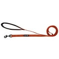 thumbnail image 1 of Alcott Visibility Dog Leash with Reflective Stitching & Neoprene Padded Handle, Small, Neon Orange, 1 of 2