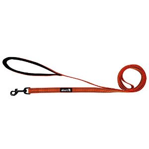 Alcott Visibility Dog Leash with Reflective Stitching & Neoprene Padded Handle, Small, Neon Orange