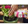 thumbnail image 5 of Osmocote 274150 Plus Outdoor and Indoor Smart Release Plant Food and Fertilizer 12 Pack, 1 lb, 5 of 5