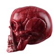 thumbnail image 3 of CNKOO 31” Zombie Rampant Rampant Accessoire d'Halloween Piquet Cimetière Maison Hantée Fête Décoration Intérieure Extérieure, 3 of 4