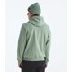 thumbnail image 2 of Sudadera con capucha The North Face Evolution Simple Dome Slate Moss XS, 2 of 4