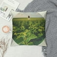 BCIIG plants Graphic Decorative Men Women Boy Girl Room Cushion Throw