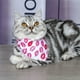 thumbnail image 1 of Zhuge Bandana para perros 1 pieza, mezcla de poliéster ligera de secado rápido, baberos tipo bufanda triangular, pañuelo ajustable para perros, regalo para mascotas, M, A16, 1 of 3