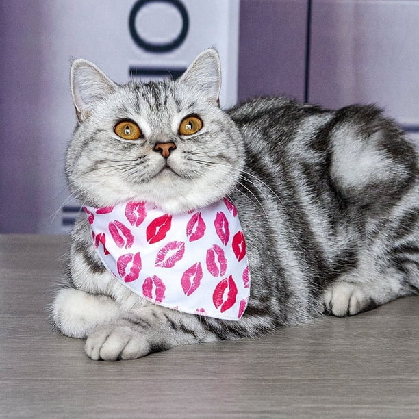 Zhuge Bandana para perros 1 pieza, mezcla de poliéster ligera de secado rápido, baberos tipo bufanda triangular, pañuelo ajustable para perros, regalo para mascotas, M, A16