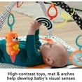 thumbnail image 5 of Fisher-Price 3-in-1 Music Glow and Grow Gym Infant Playmat with Lights & Removable Toys, 5 of 7