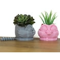 thumbnail image 4 of Clever Contraptions Whimsical Cat Planter Pot for Indoor Plants - Medium | 2-Part Design, 4 of 9