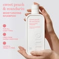 thumbnail image 2 of True Sweet Peach & Mandarin Moisturizing Shampoo -  Moisturizing and Hydrating Formula for Women & Men, 16.4 fl oz, 2 of 12
