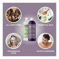 thumbnail image 4 of Sulfate Free Shampoo and Conditioner Set - Tea Tree Sage and Rosemary Shampoo and Conditioner for Dry Flaky Scalp Care - Deep Cleansing Color Safe Shampoo and Conditioner for Damaged Dry Hair Care, 4 of 4