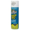 thumbnail image 3 of Bengal Crawling Insect Killer, Indoor and Outdoor Aerosol Ant and Spider Killer, 16 oz Aerosol Can, 3 of 8