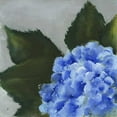 thumbnail image 2 of Nichols, Liz 20x20 Gold Ornate Wood Framed with Double Matting Museum Art Print Titled - Hydrangea Detail I, 2 of 4