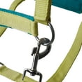 thumbnail image 4 of Horze Magical Carousel Soft Lined Pony Halter, 4 of 5
