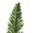 thumbnail image 2 of Vickerman 9' x 74" Balsam Spruce Artificial Christmas Tree, Unlit, 2 of 4
