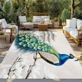 thumbnail image 3 of Fsddascl Vintage Peacock Outdoor Rug for Patio/Deck/Porch, Non-Slip Large Area Rug 5 x 8 Ft, Watercolor Peacock Feather Flower Indoor Outdoor Rugs Washable Area Rugs, Reversible Camping Rug Carpet, 3 of 5