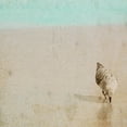 thumbnail image 2 of "Sandpiper" Painting Print on Wrapped Canvas, 2 of 4