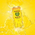 thumbnail image 5 of Guayakí Yerba Mate, Organic Energy Drink Alternative, Awakening Orange, 150mg Natural Plant Based Caffeine, Better for You Energy, No Jitters or Crash, 15.5 Oz (Pack of 12), 5 of 5