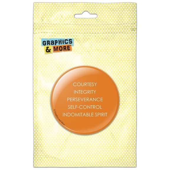 Five Tenets of Taekwondo Clean on Orange Pinback Button Pin Badge