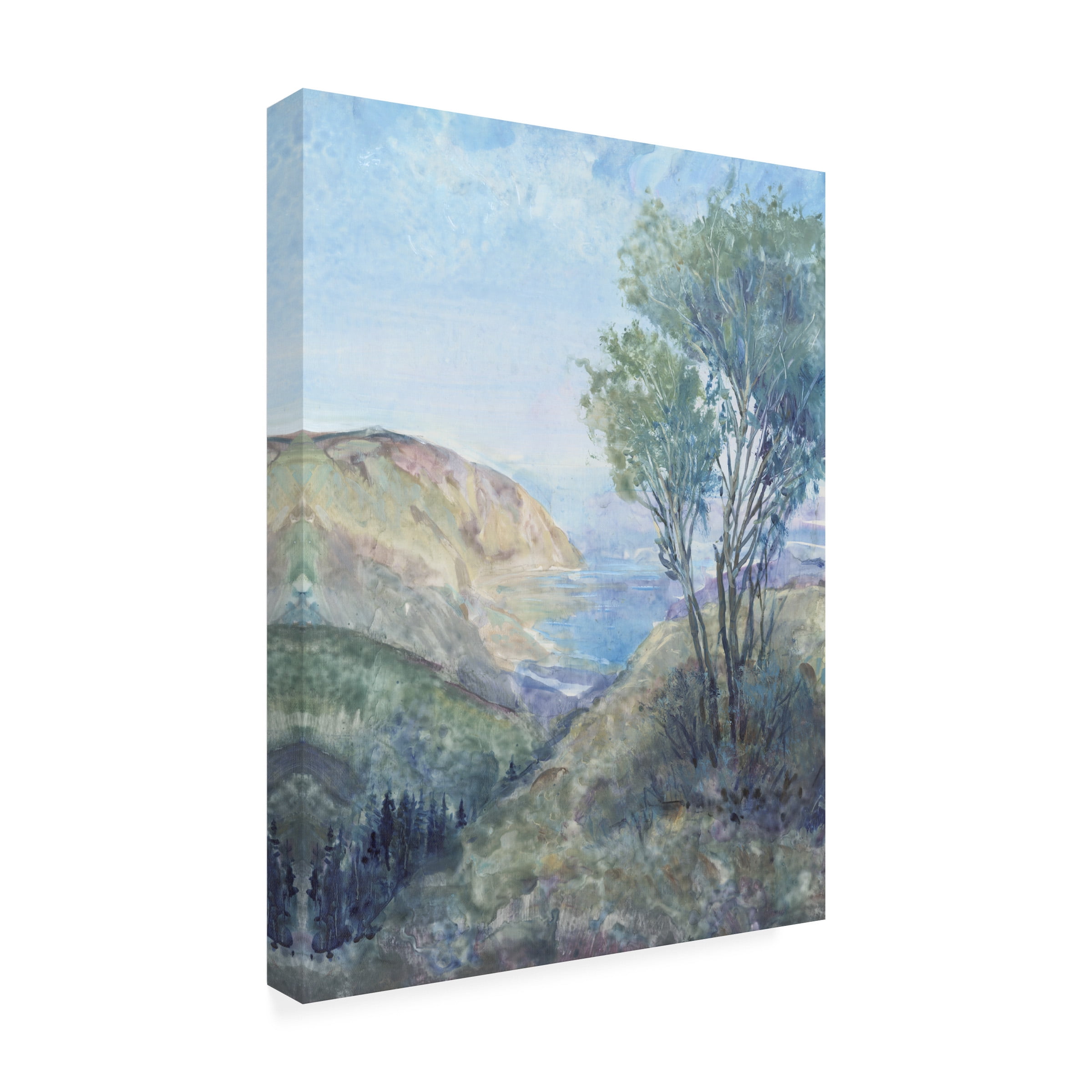 Tim OToole 'Scenic View II' Canvas Art