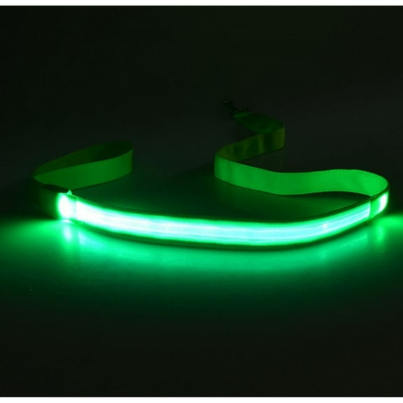 Set of 4 Rechargeable Light Up Dogs Leash Waterproof Nylon for Night Safety