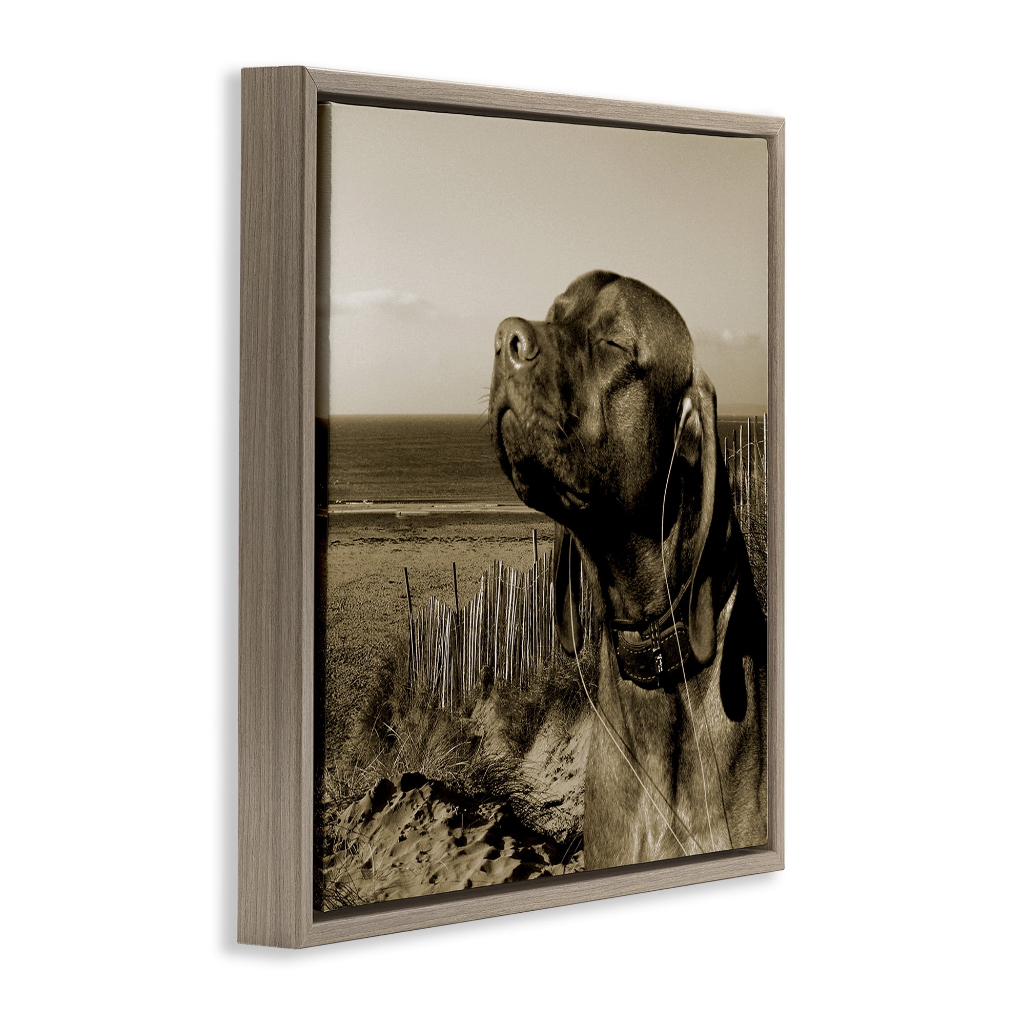 Stupell Industries Relaxed Dog with Music Animals & Insects Photography Brown Floater Framed Canvas Art Print Wall Art, 25 x 25