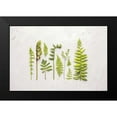 thumbnail image 2 of Bradley, Felicity 14x11 Black Modern Framed Museum Art Print Titled - Flat Lay Ferns I, 2 of 5