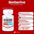 thumbnail image 2 of HealthFare Berberine with Ceylon Cinnamon 2500mg | 60 Veg Capsules | Premium Herbal Blend | Non-GMO, Gluten-Free | Made in the USA, 2 of 6