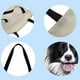 thumbnail image 3 of Bolsa de ropa para perros, 3 of 3