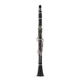 thumbnail image 1 of ABS 17-Key Clarinet Bb Flat with Carry Case Gloves Cleaning Cloth Mini Screwdriver Reed Case 10pcs Reeds Woodwind Instrument, 1 of 7