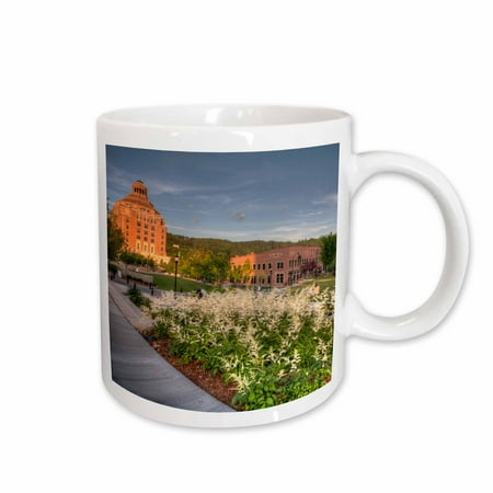 

3dRose USA North Carolina Asheville Pack Square Park. City hall. Ceramic Mug 15-ounce