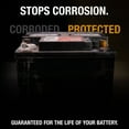 thumbnail image 2 of NOCO NCP2 A202 12.25 Oz Oil-Based Battery Corrosion Preventative, Corrosion Inhibitor, and Battery Terminal Grease Spray, 2 of 8