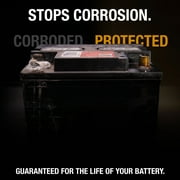 NOCO NCP2 A202 12.25 Oz Oil-Based Battery Corrosion Preventative, Corrosion Inhibitor, and Battery Terminal Grease Spray