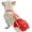 Red, variant on HQREA Pet Breathable Physiological Pants Diapers with Adjustable Suspender & Washable Reusable