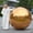 Gold, variant on Yescom 59" Big Shiny Inflatable Mirror Ball Giant Reusable PVC Balloon for Large Disco Party Wedding Event Stage Decoration Silver
