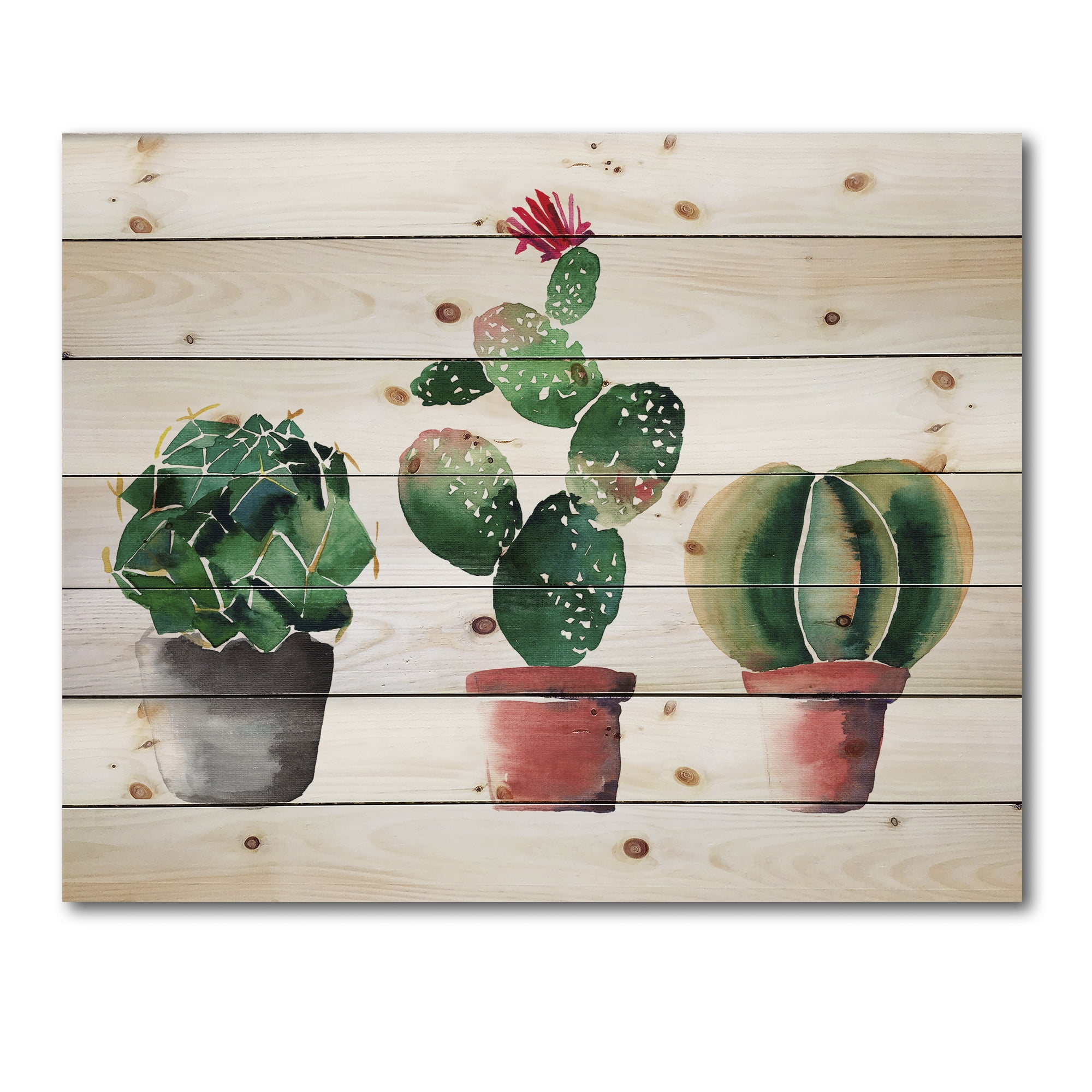 Designart 'Three Cacti In Clay Pots On White' Botanical Print on Natural Pine Wood