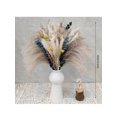 thumbnail image 3 of 50/80pcs Pampas Grass Decoration Set Including Fluffy Pampas Flowers, Reed Hay And Rabbit Tail Dried Flowers, Natural Dried Pampas Grass Bouquet, Suit, 3 of 4
