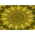 thumbnail image 1 of Ahgly Company Machine Washable Indoor Rectangle Transitional Dark Bronze Brown Area Rugs, 4' x 6', 1 of 7