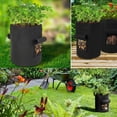 thumbnail image 4 of Naisfei 6 Pack 10 Gallon Black Potato Grow Bags with Flap Window，Thickened Nonwoven Fabric Container  for Tomato, Vegetable and Fruits, 4 of 4