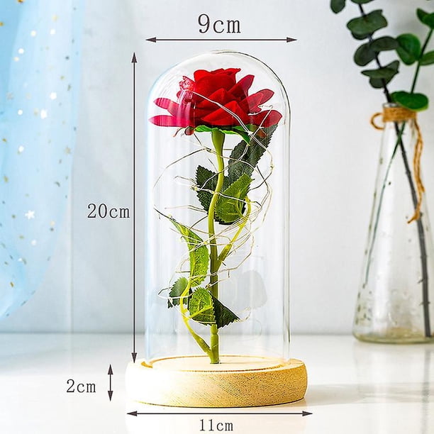 Rosa Eterna De Seda Con Luz LED MOOKLIN ROAM - Cúpula De Cristal Y Base De Madera, Regalo San Valentín, Madre