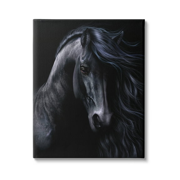 Stupell Industries Black Stallion Portrait Animals & Insects Photography Gallery Wrapped Canvas Art Print Wall Art, 16 x 20